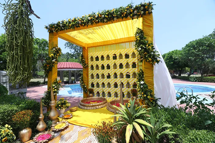 Haldi shoot